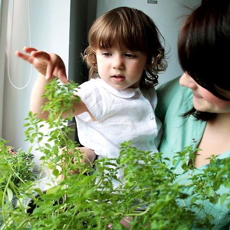 Abracadabra Apartman Varsó Kültér fotó
